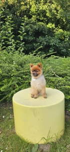 Florence - Dog Training Client